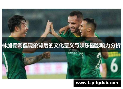 林加德调侃现象背后的文化意义与娱乐圈影响力分析