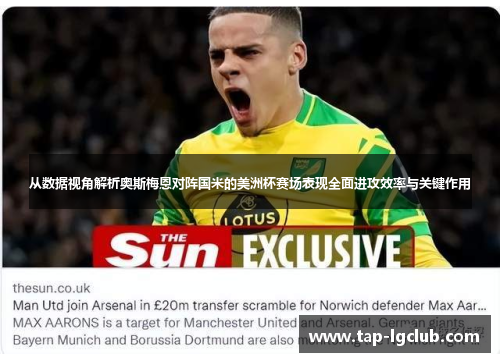 从数据视角解析奥斯梅恩对阵国米的美洲杯赛场表现全面进攻效率与关键作用